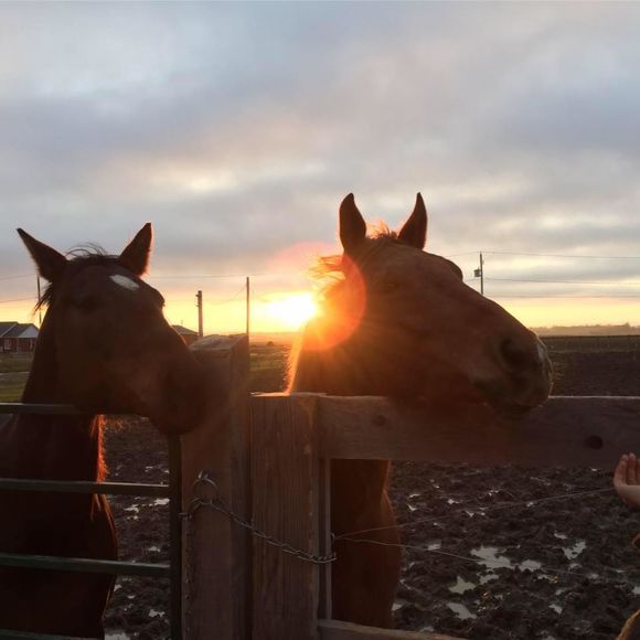 Meet your Posher, Na - Picture 1 of 1